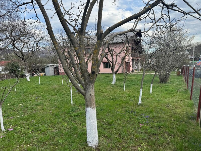 Breaza Prahova